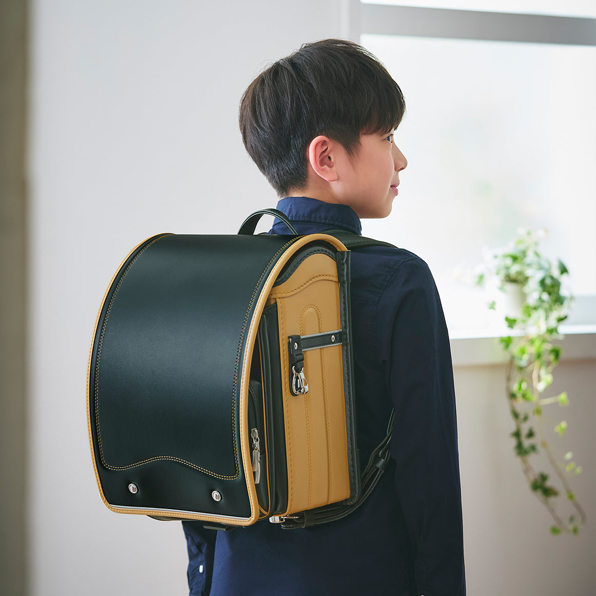 ハーモニー ネオクラシックについて