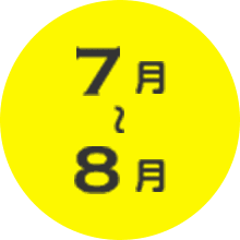 7月~8月